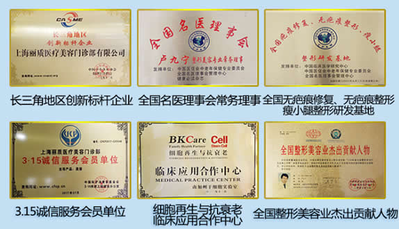 上海丽质医疗美容门诊部医院荣誉