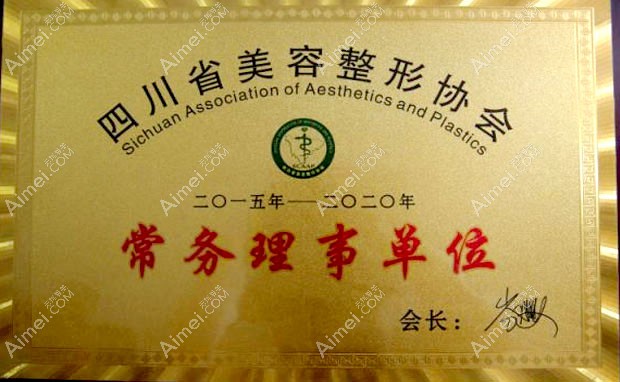 成都铜雀台医学美容医院获常务理事单位