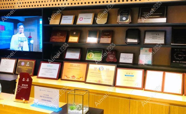 上海薇琳医疗美容医院荣誉资质