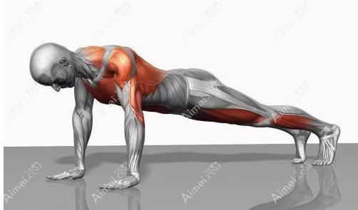 俯卧撑可以让男人胸部赘肉锻炼