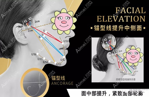 面中部侧脸布线图 面中部侧脸布线图