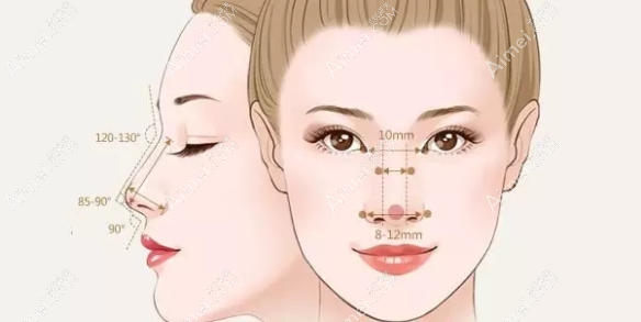 假体隆鼻标准图