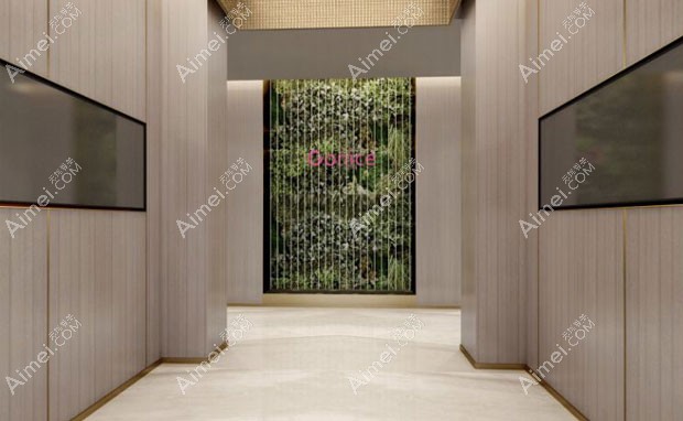 西安高一生医疗美容医院走廊