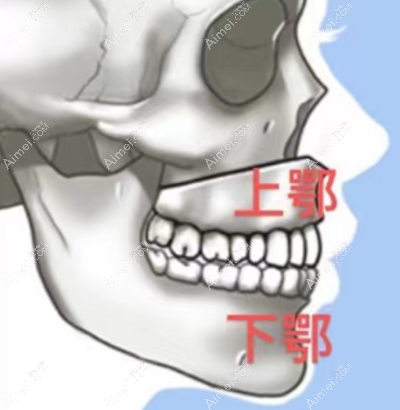 广州广大正颌手术