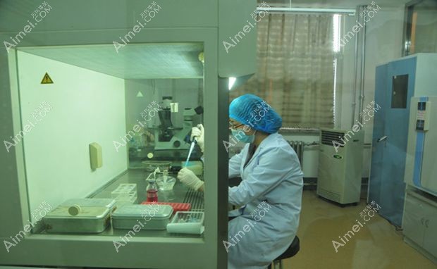 潍坊医学院整形外科医院实验室