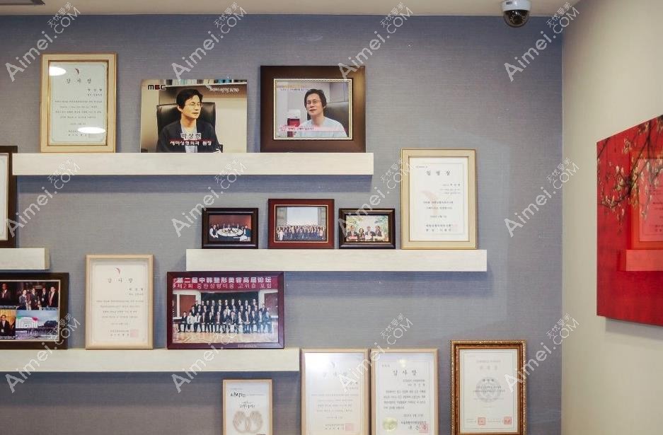 韩国世美整形外科医院院长荣誉
