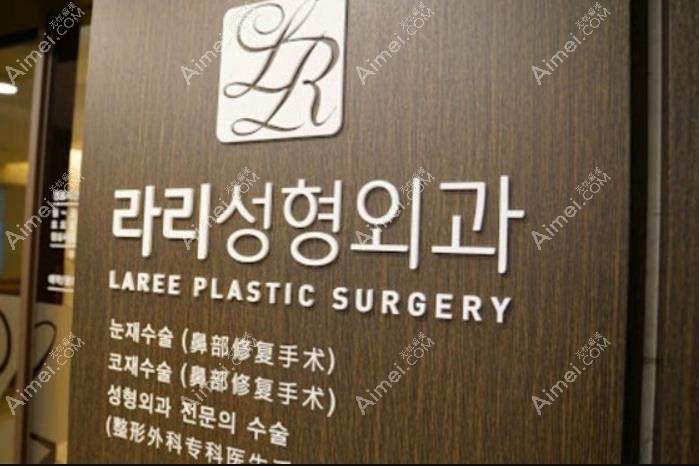 韩国来丽laree整形医院特色项目