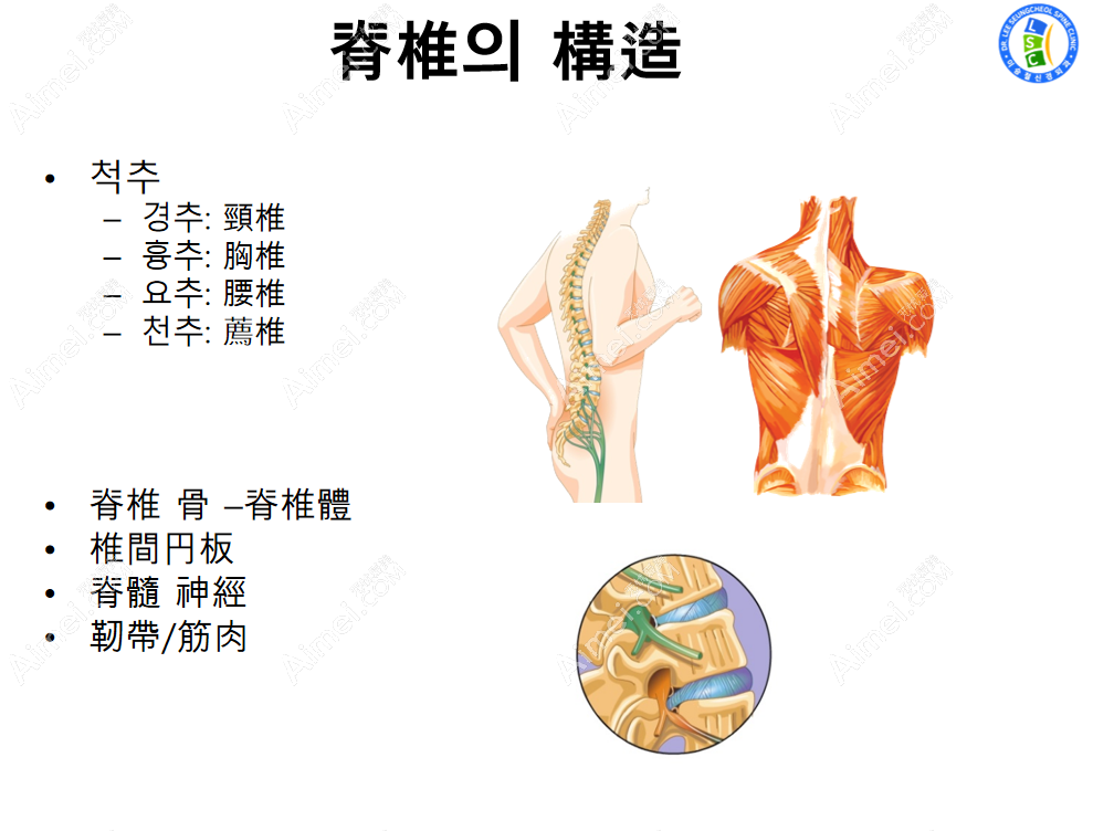 韩国李承哲神经外科医院脊椎病治疗特色项目