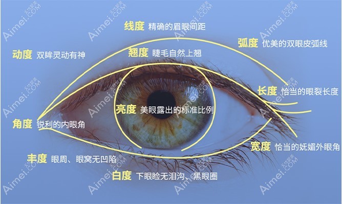 杨振医生做双眼皮技术好爱美网
