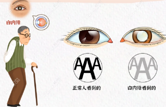 20231017528696.png image.png