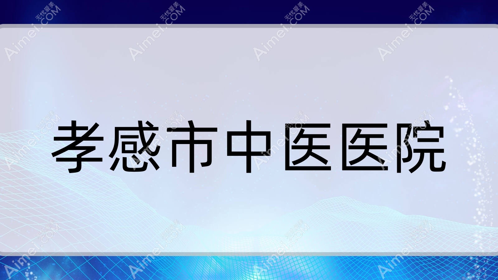孝感市中医医院 孝感市中医医院