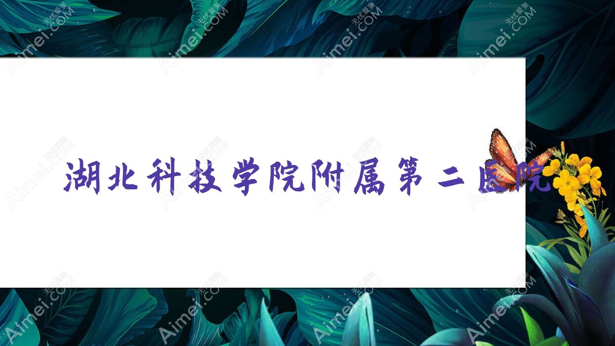 湖北科技学院附属第二医院