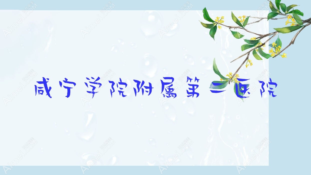 咸宁学院附属第二医院