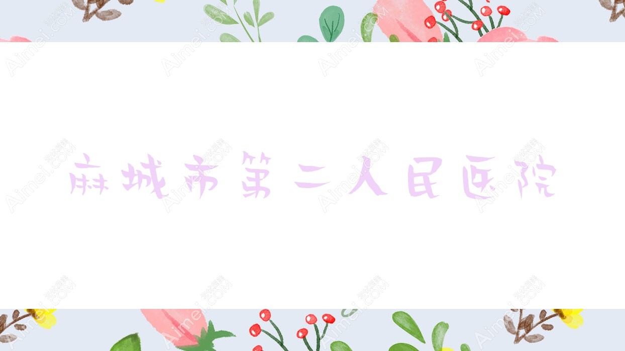 麻城市第二人民医院 麻城市第二人民医院