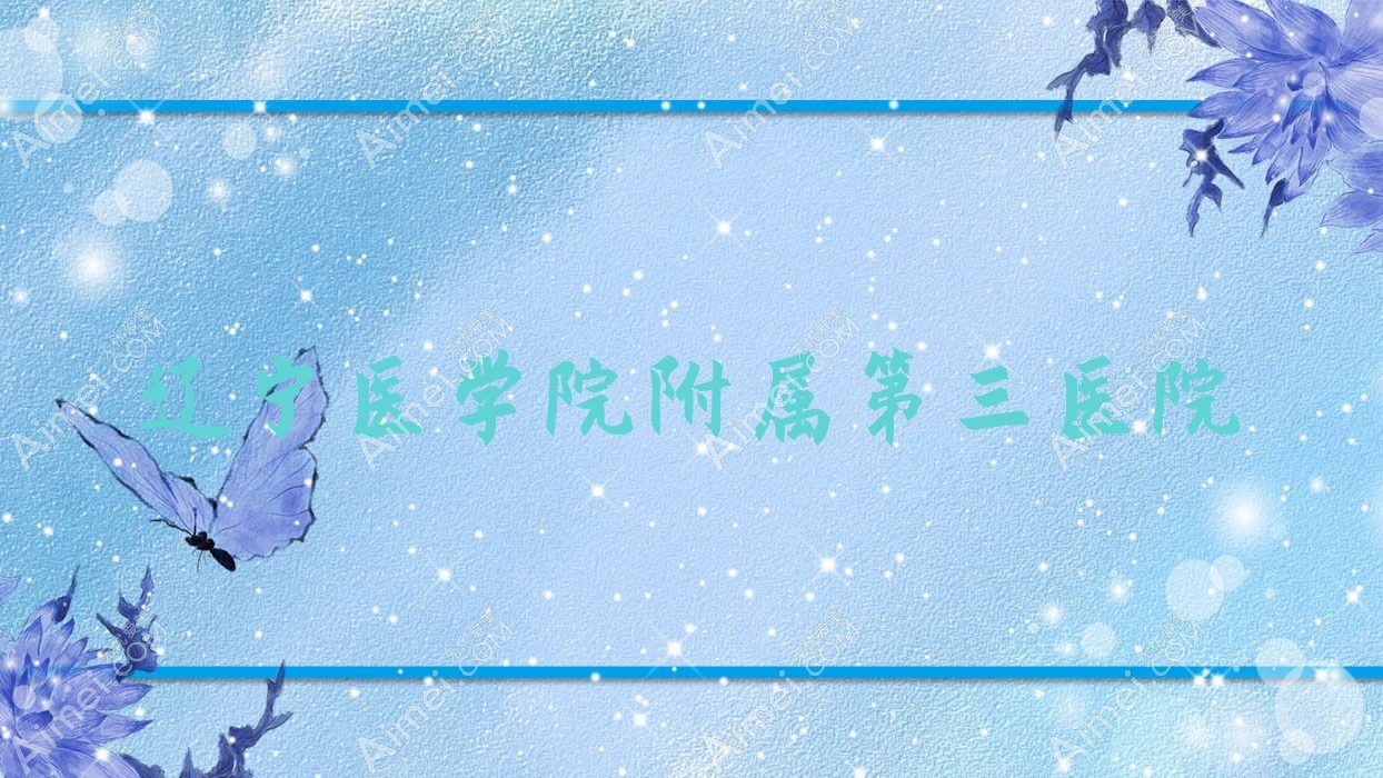 辽宁医学院附属第三医院