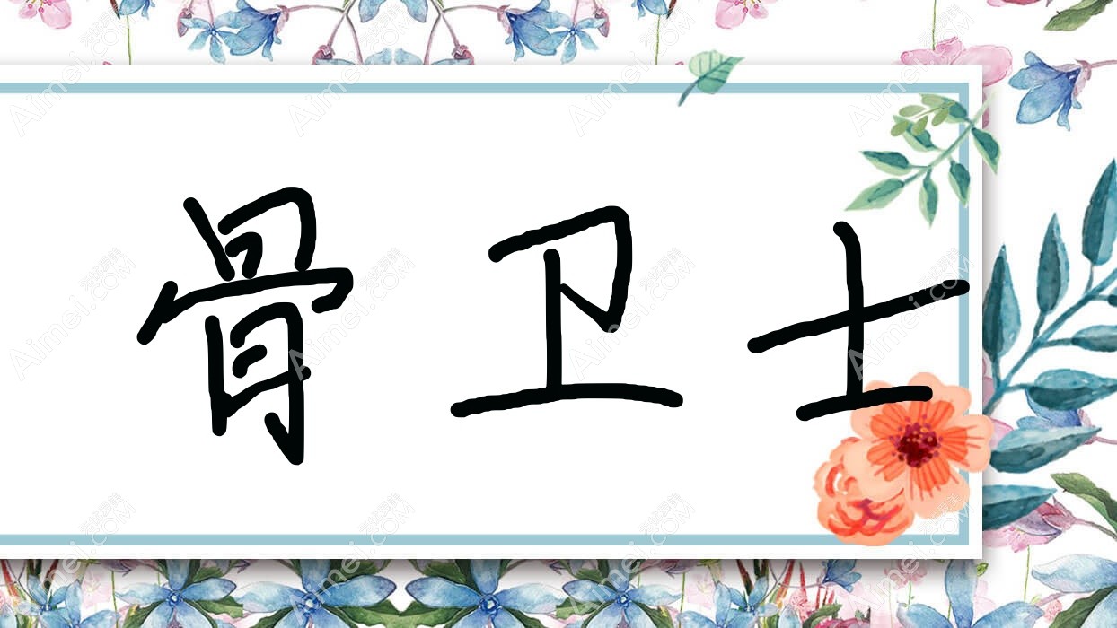 骨卫士