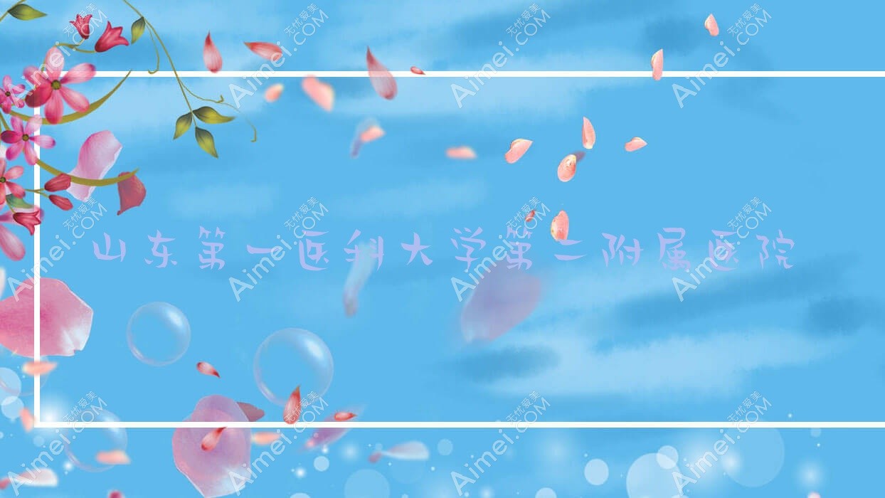 山东一医科大学第二附属医院
