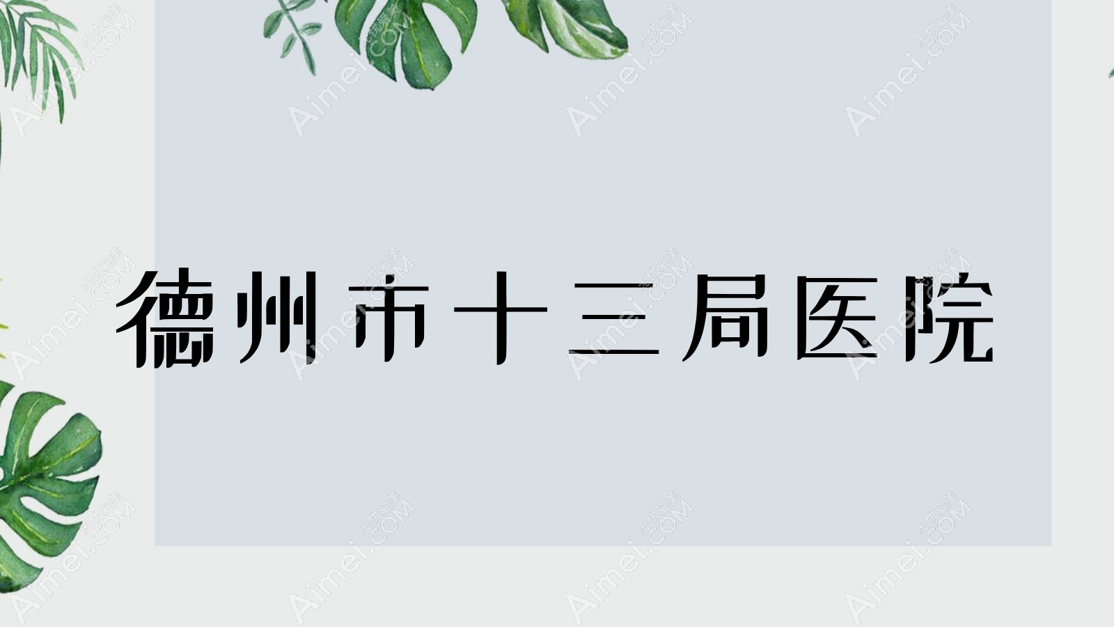 德州市十三局医院