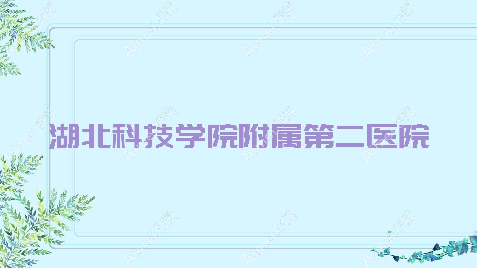 湖北科技学院附属第二医院
