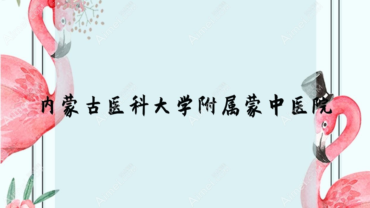 内蒙古医科大学附属蒙中医院