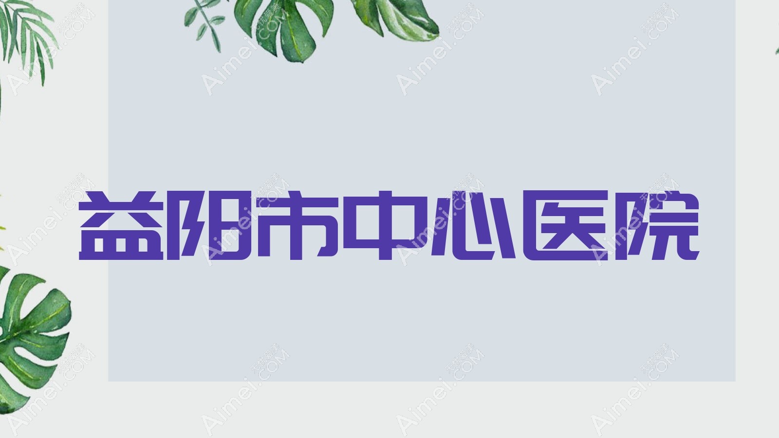 益阳市中心医院
