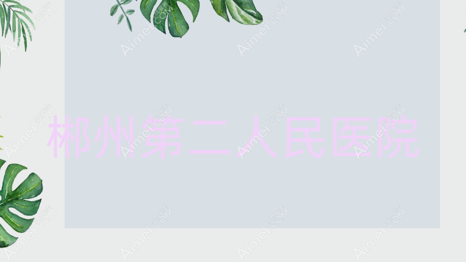 郴州第二人民医院
