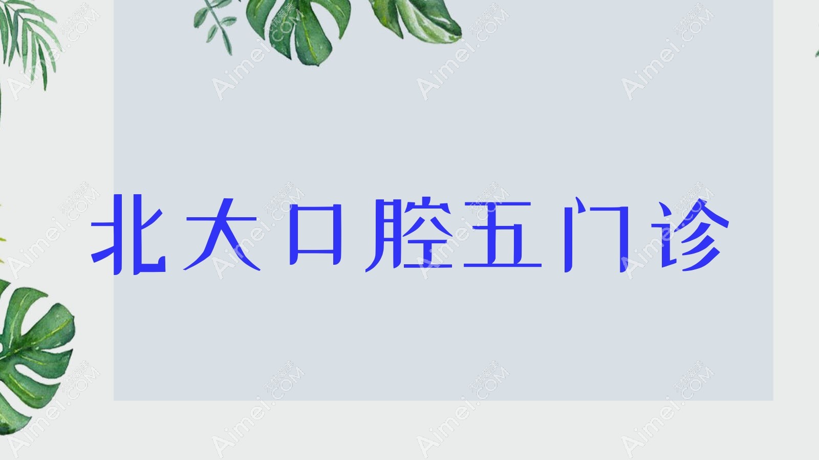 北大口腔五门诊