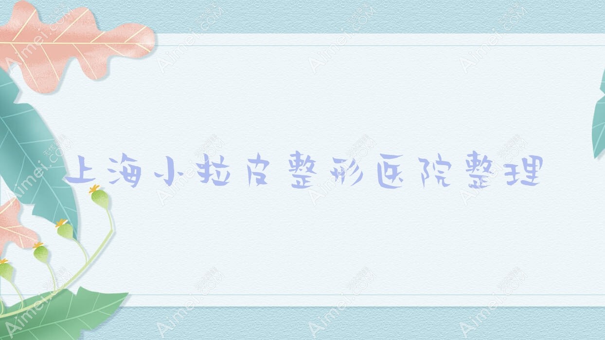 上海小拉皮整形医院整理前10评测,搜集整理当地这10家被大家认可