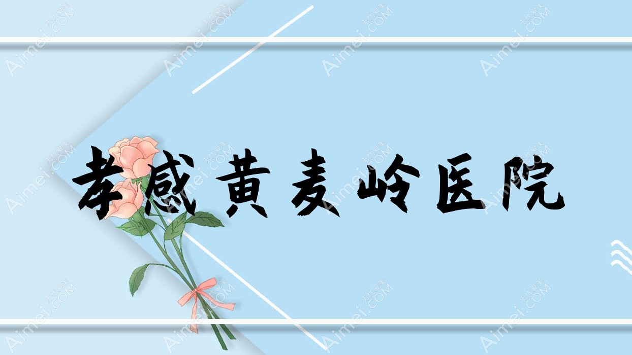 孝感黄麦岭医院