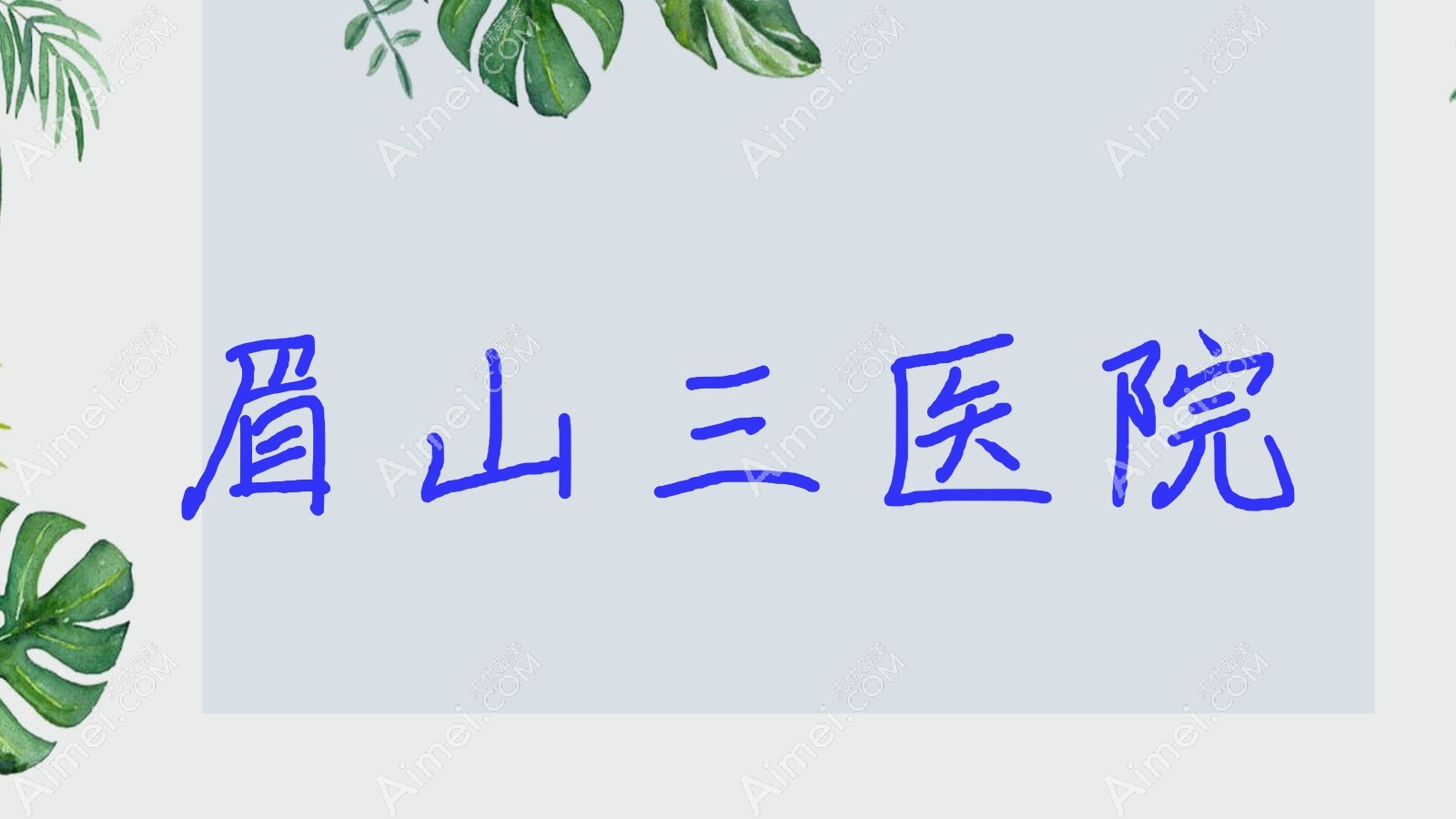 眉山三医院