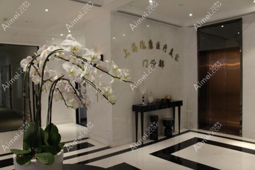 上海珂莱娅医疗美容门诊部 上海珂莱娅医疗美容门诊部