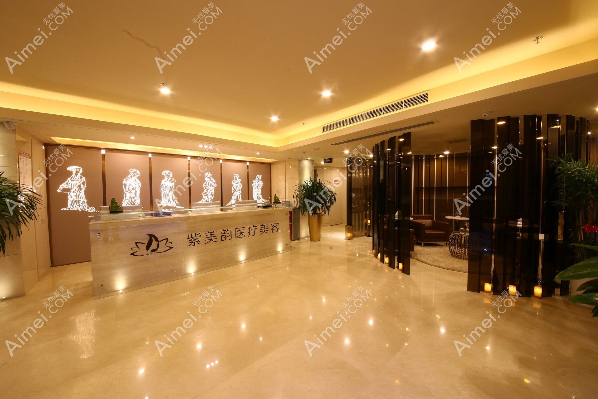 深圳仙紫医疗美容诊所 深圳仙紫医疗美容诊所