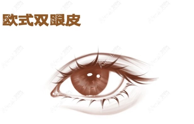 沈陽杏林整形醫(yī)院割雙眼皮