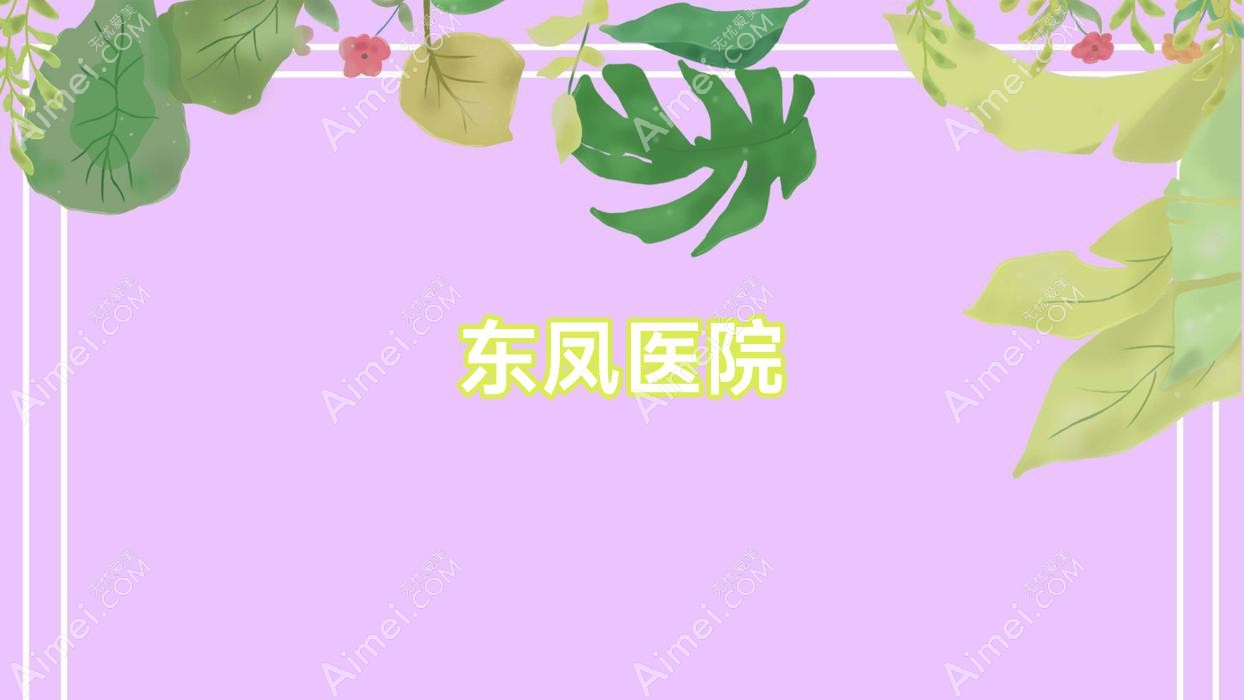 东凤医院