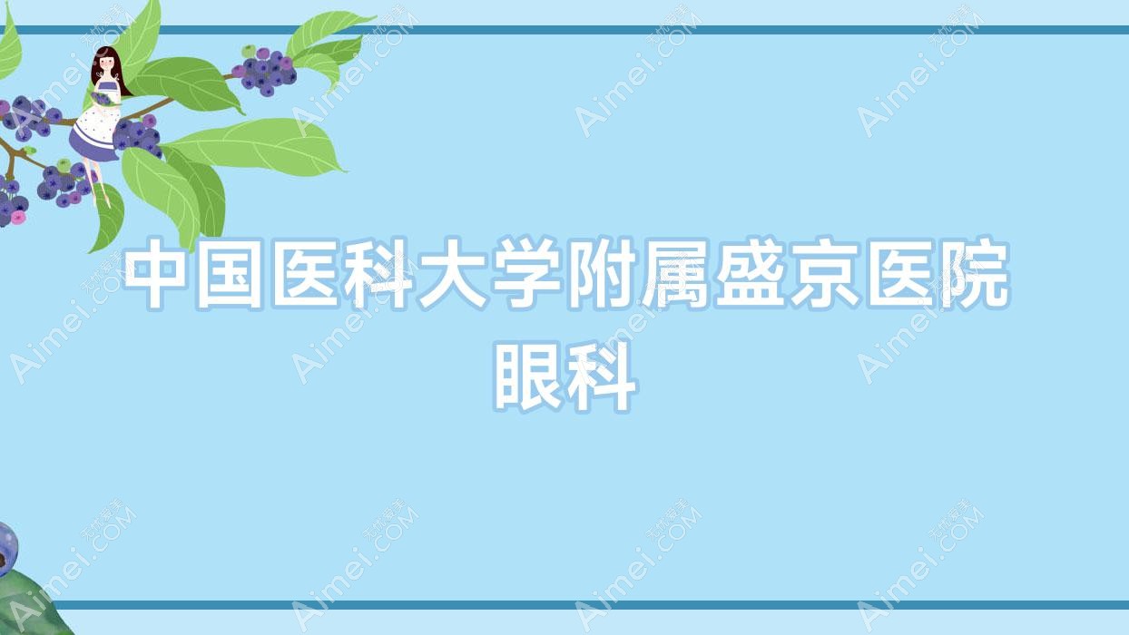 国内医科大学附属盛京医院眼科