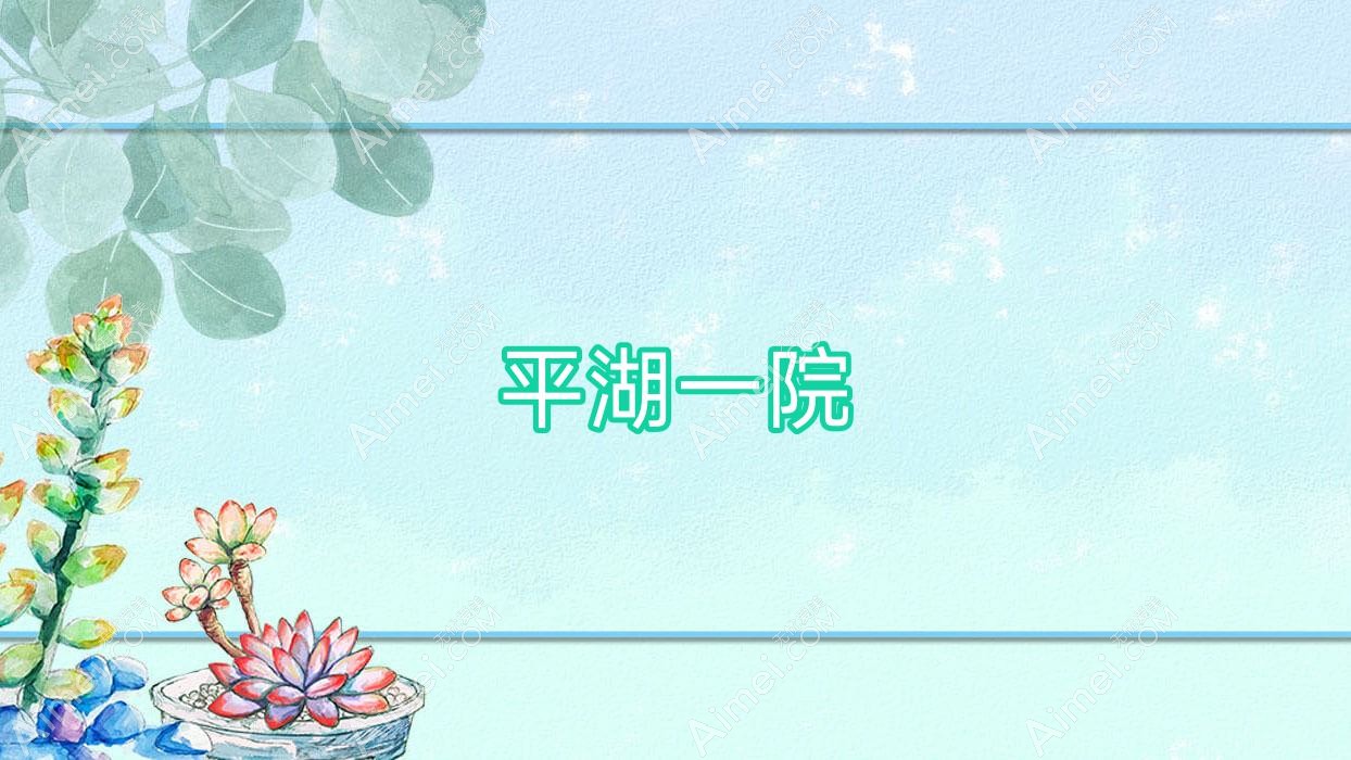 平湖一院