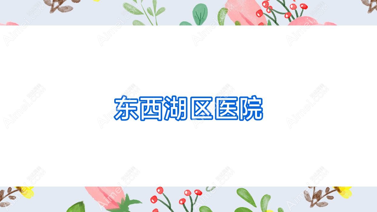 东西湖区医院