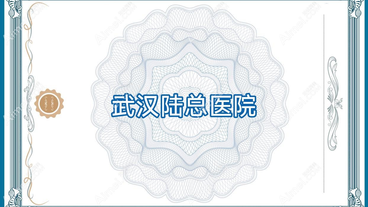 武汉陆总医院