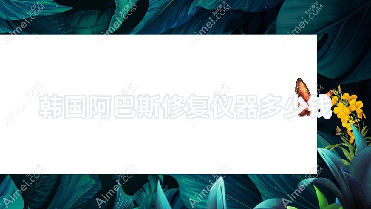 韩国阿巴斯修复仪器多少钱(韩国阿巴斯修复仪器多少钱一台)
