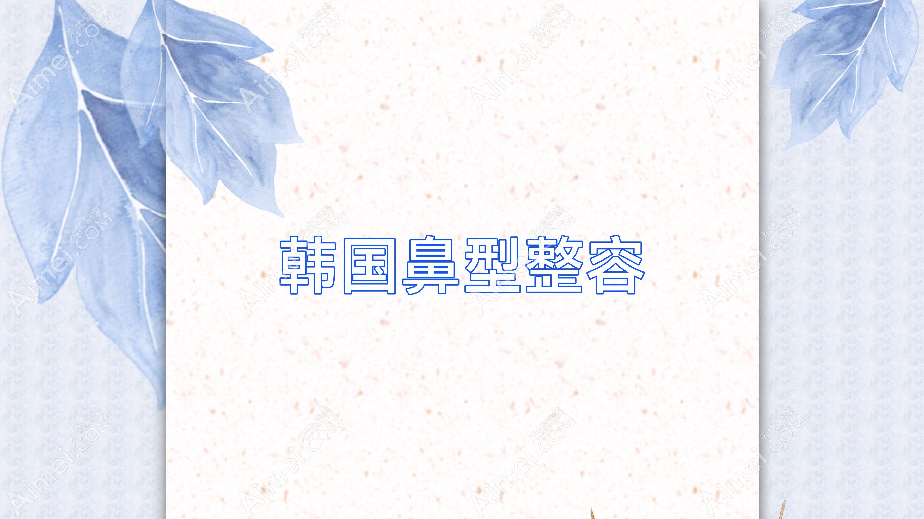 韩国鼻型整容 韩国整容鼻子需要花多少钱