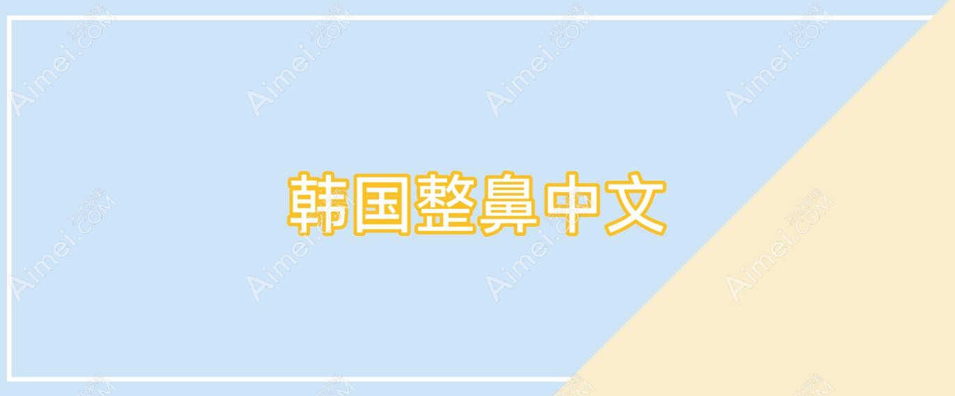 韩国整鼻中文?韩国整容鼻?