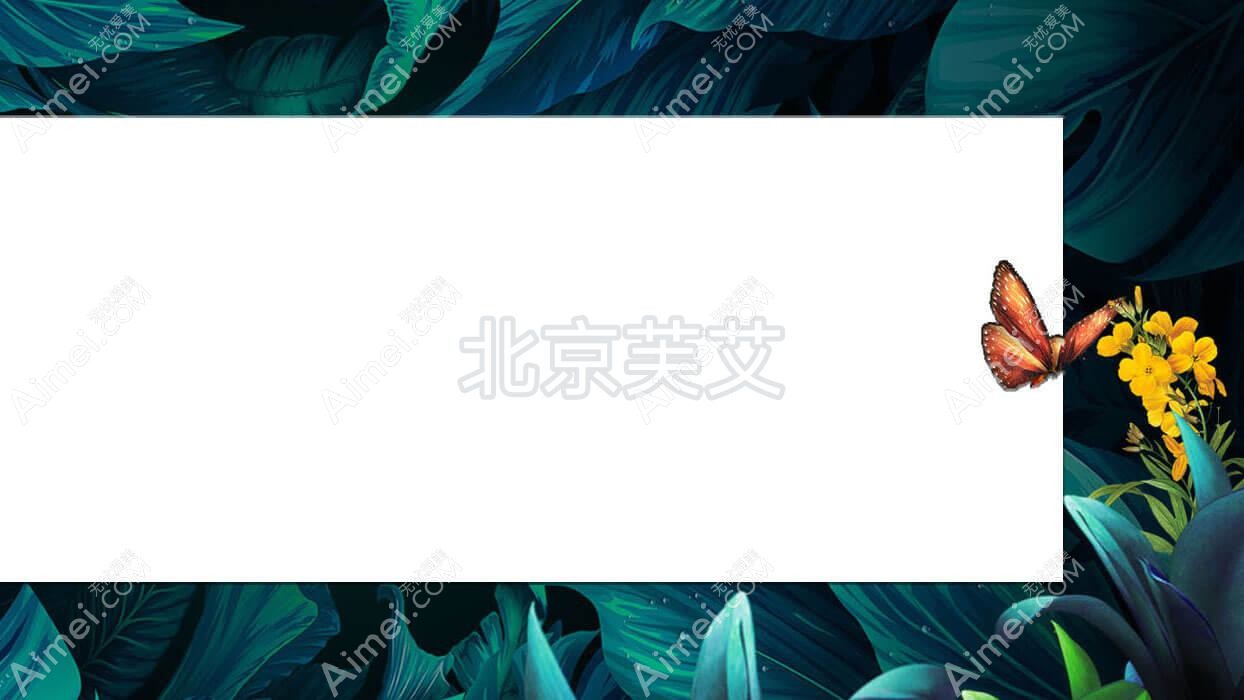北京芙艾