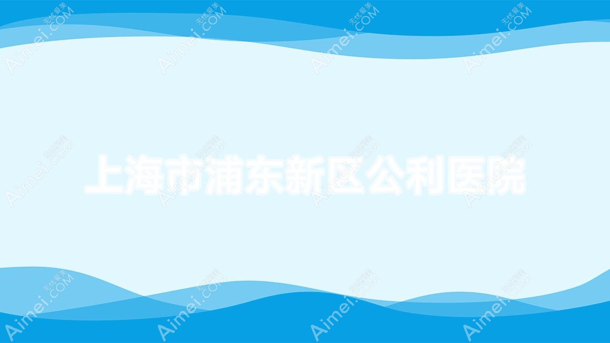 上海市浦东新区公利医院