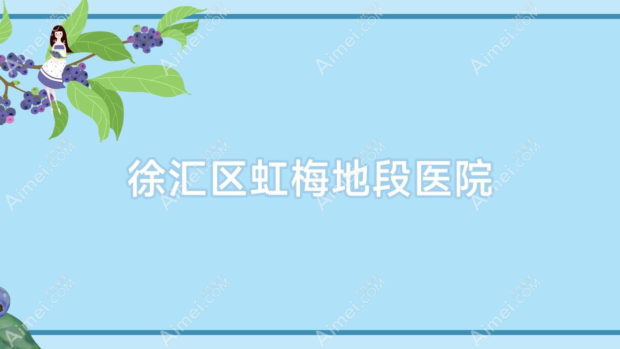 徐汇区虹梅地段医院