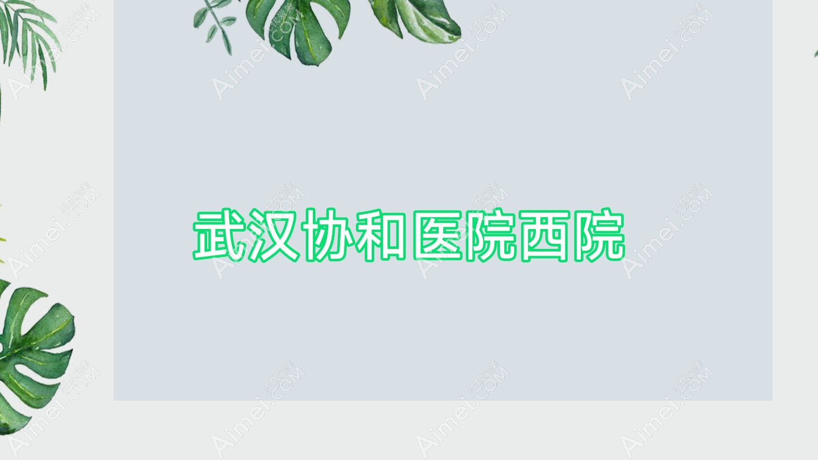 武汉医院西院