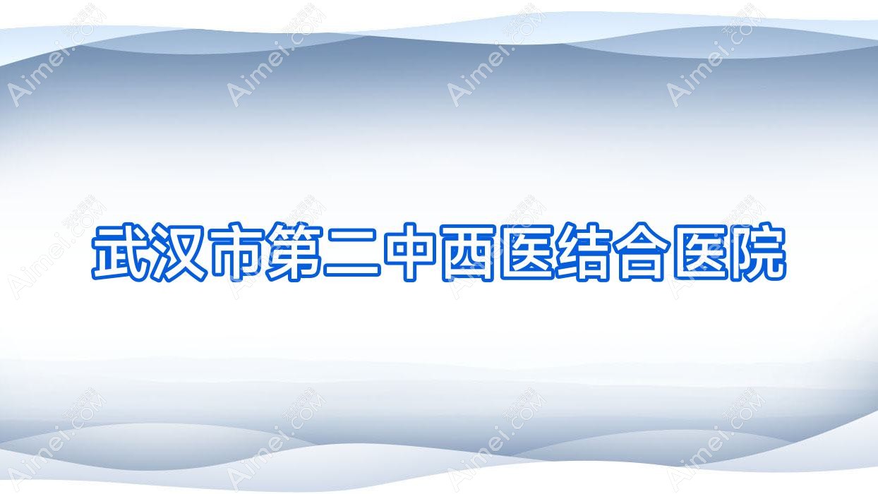 武汉市第二中西医结合医院
