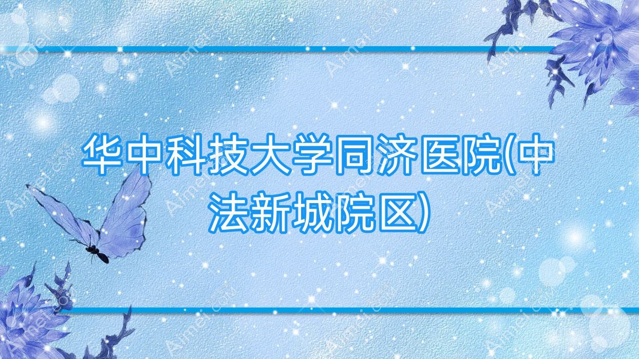 华中科技大学同济医院(中法新城院区)