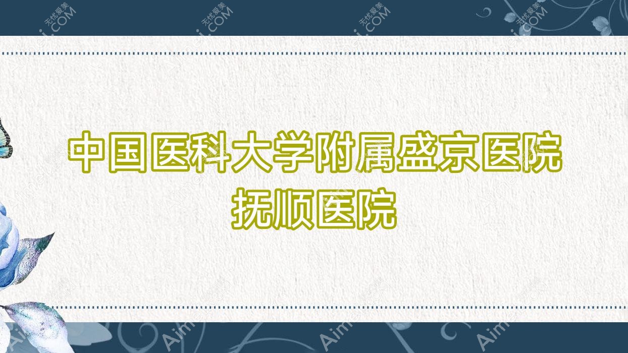 国内医科大学附属盛京医院抚顺医院