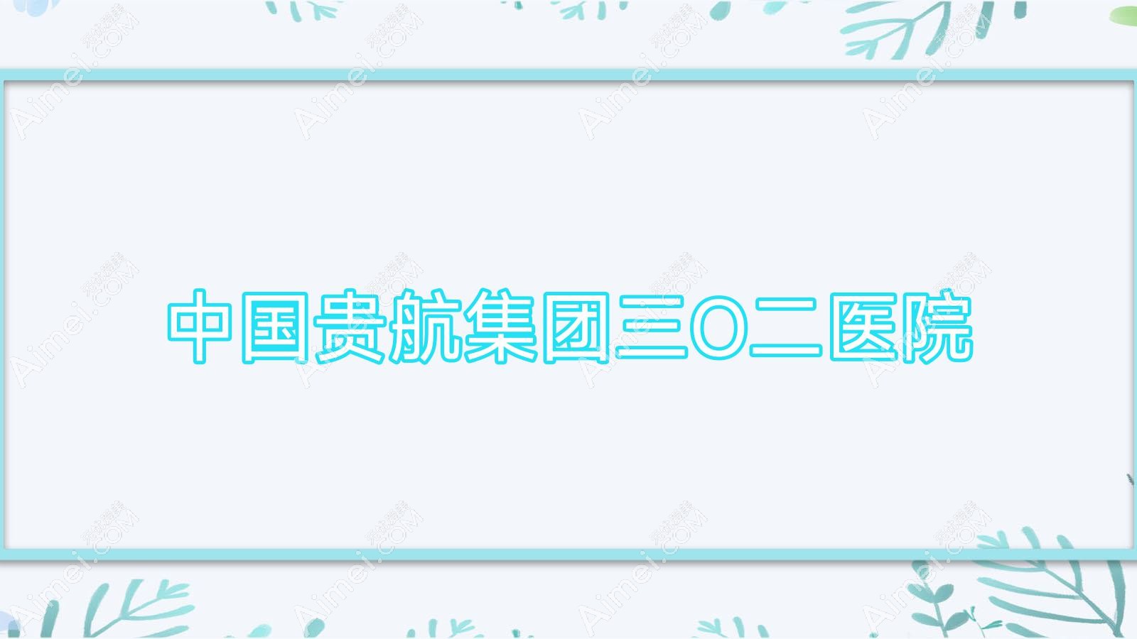 国内贵航集团三O二医院