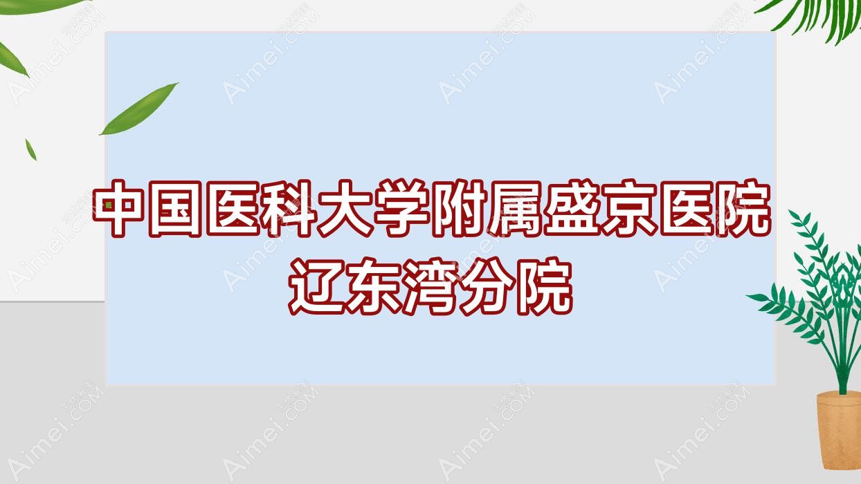 国内医科大学附属盛京医院辽东湾分院